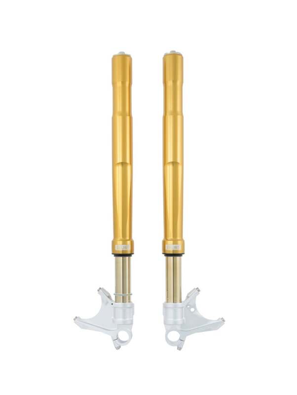 Ohlins 20-23 Honda CBR1000RR-R FGRT 200 Fork