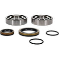All Balls Racing Crank Bearing Kit