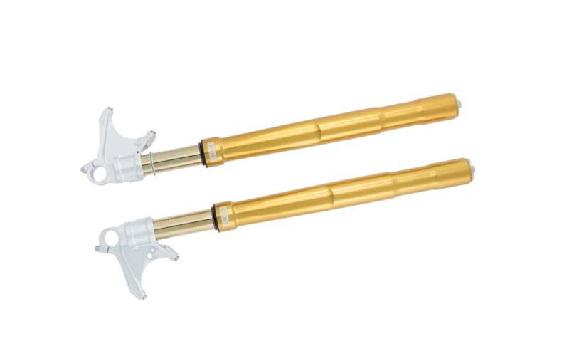 Ohlins 20-23 Honda CBR1000RR-R FGRT 200 Fork